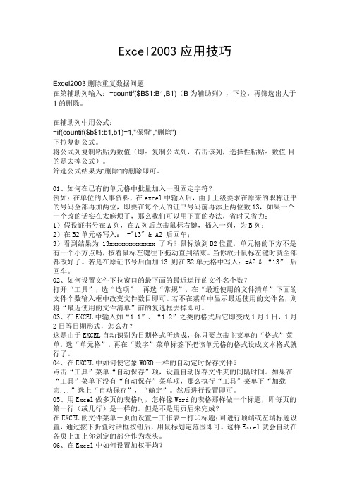 Excel2003应用技巧大全