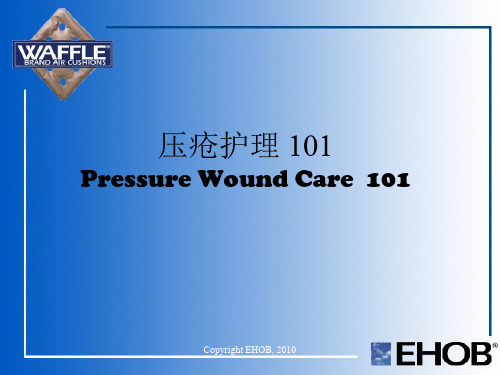 Pressure Wound Care 101中英文2