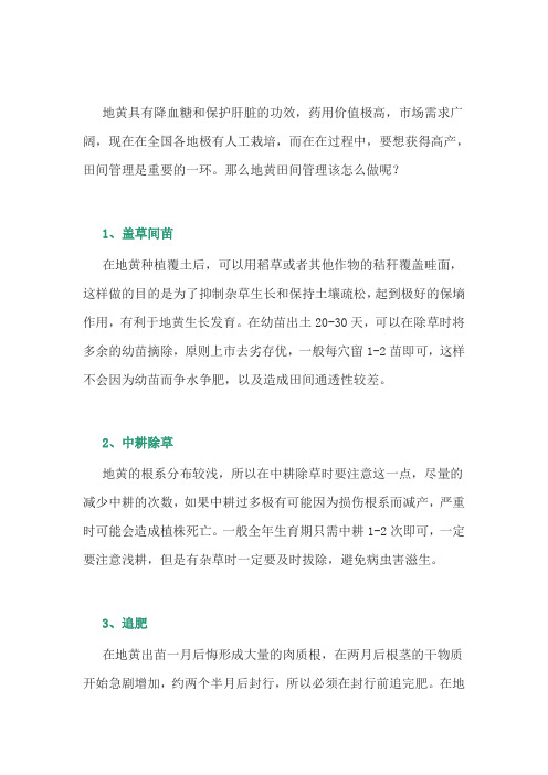 中药材地黄的田间管理技术