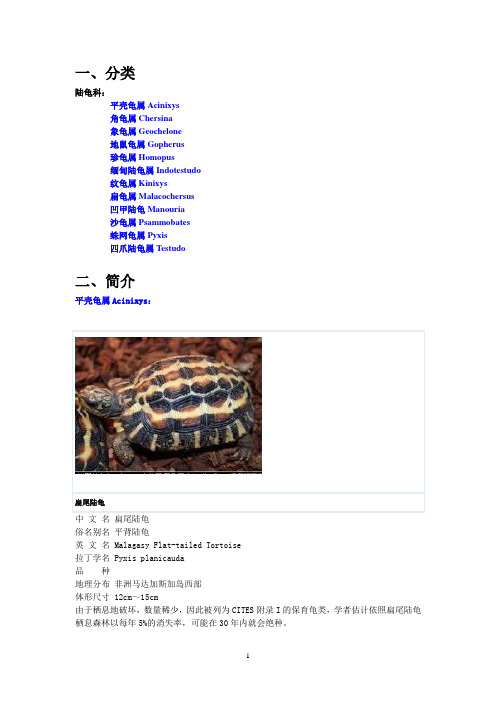 陆龟分类及简介(超细、超全)