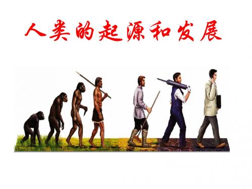七下第一章第一节 人类的起源和发展【课件】
