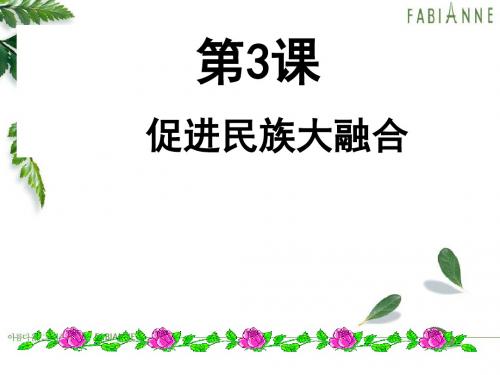 历史3.3《促进民族大融合》课件1(人教版选修1).ppt