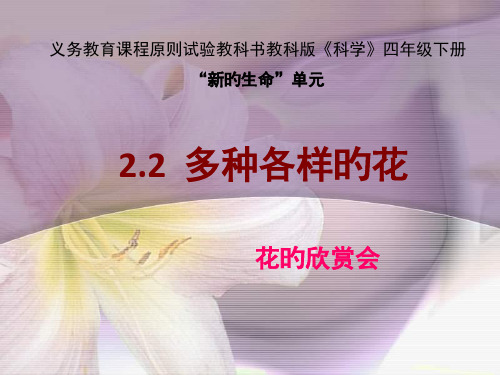 各种各样的花