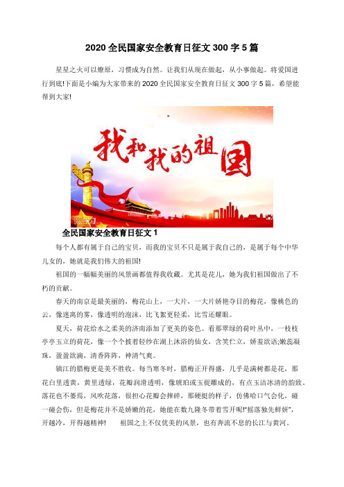 2020全民国家安全教育日征文300字5篇