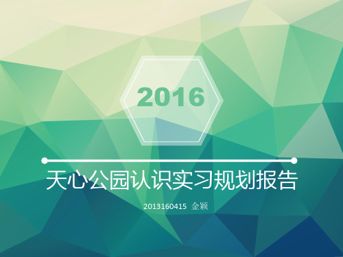 天心公园园林规划资料