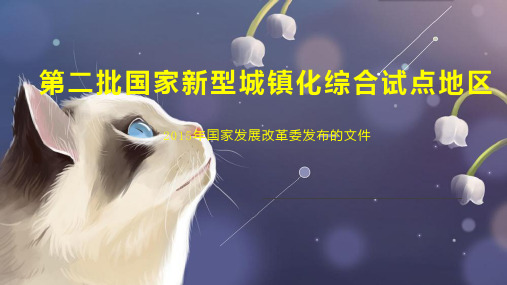第二批国家新型城镇化综合试点地区