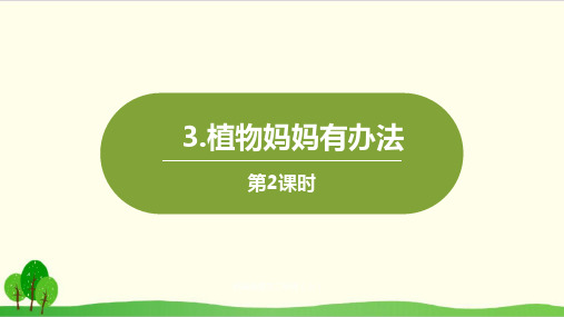 部编教材二年级上册语文《植物妈妈有办法》PPT完整版