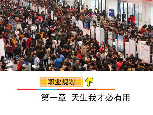 就业指导与创业教育