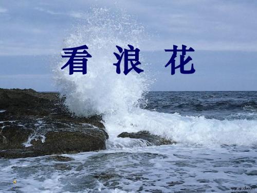 《看浪花》PPT课件4 (共17张PPT)