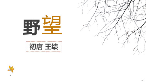 《野望》王绩 精美课件