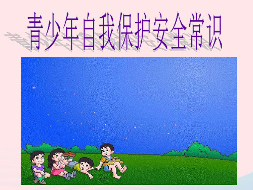 《青少年自我保护安全常识》ppt主题班会课件(27页)