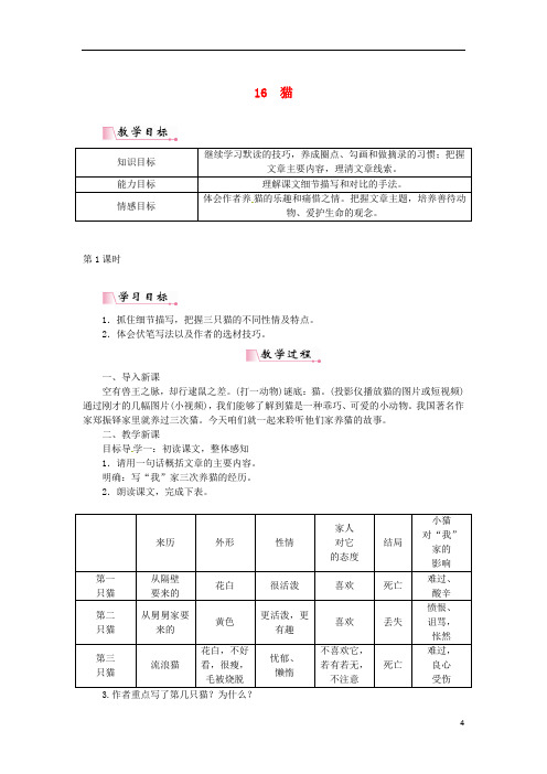 七年级语文上册第五单元16猫教案新人教版 (3)