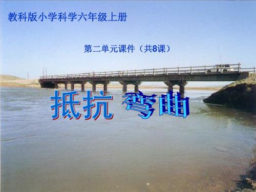 教科版六年级上册科学第二单元精品课件