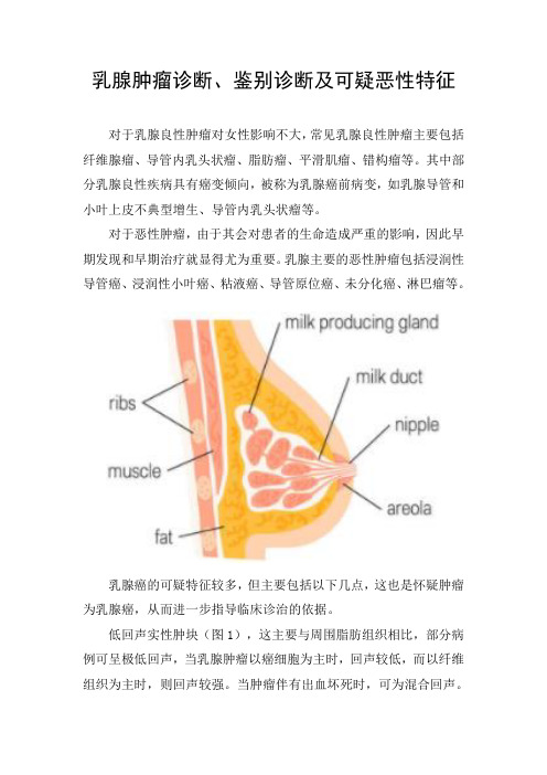 乳腺肿瘤诊断、鉴别诊断及可疑恶性特征