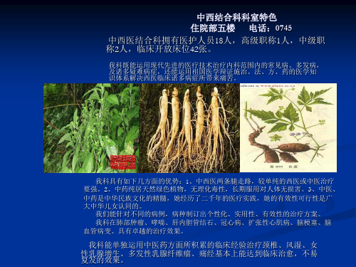 中西结合科科室特