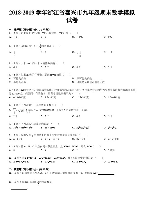 2018-2019学年浙江省嘉兴市九年级期末数学模拟试卷