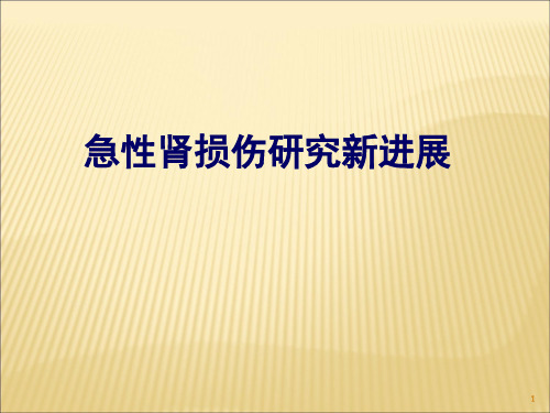 急性肾损伤研究新进展ppt课件