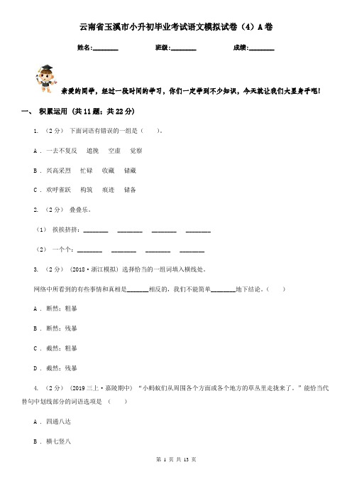 云南省玉溪市小升初毕业考试语文模拟试卷(4)A卷