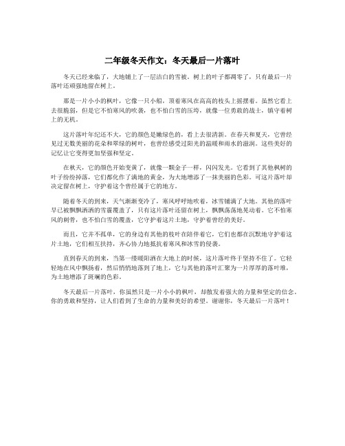 二年级冬天作文：冬天最后一片落叶