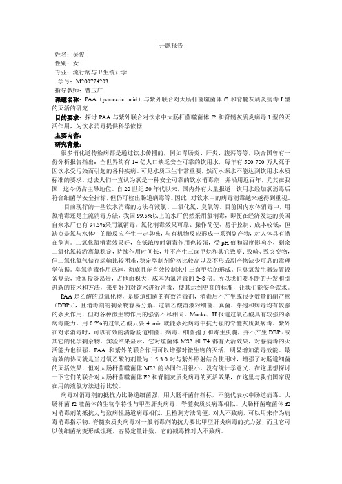开题报告