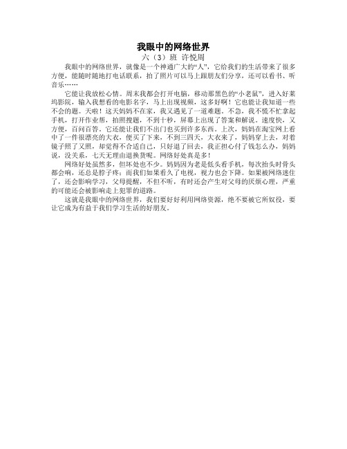 我眼中的网络世界(许悦周)