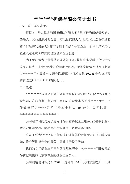 担保公司经营计划书