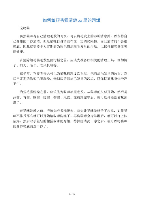 如何给短毛猫清楚毛发里的污垢