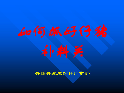 仔猪的补料方法.