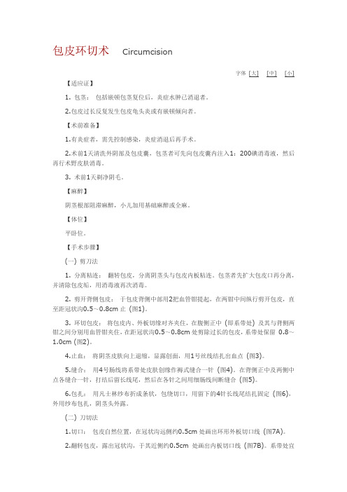 包皮环切术     Circumcision