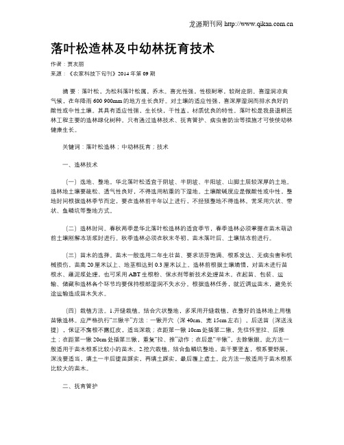 落叶松造林及中幼林抚育技术