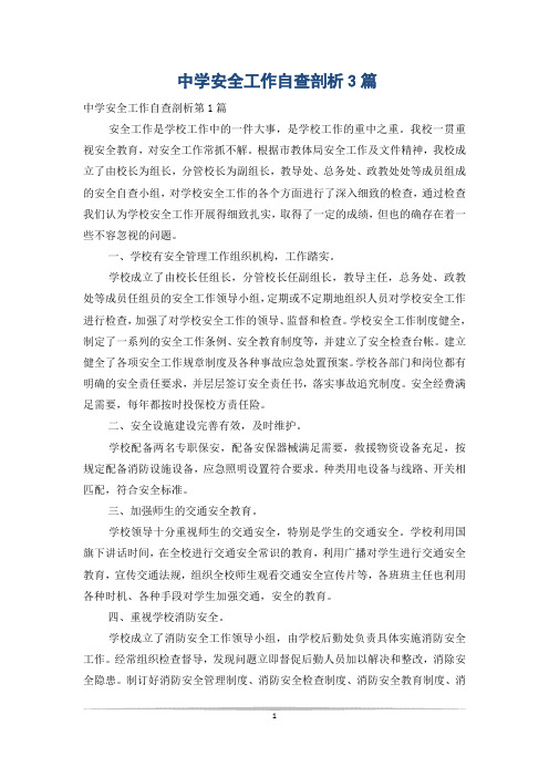 中学安全工作自查剖析3篇