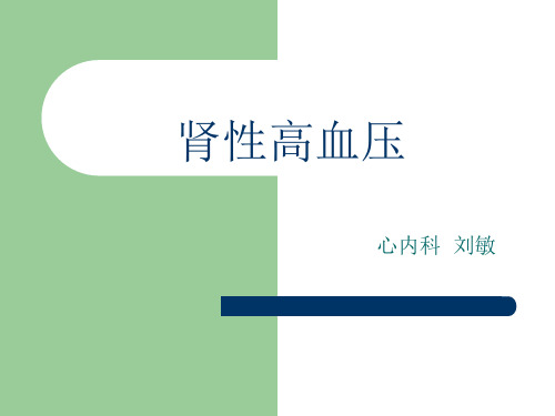 最终版 肾性高血压ppt课件