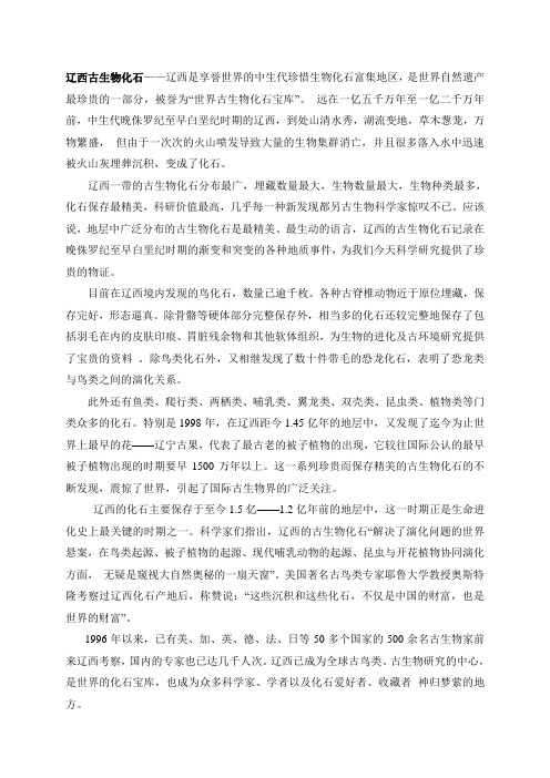 辽宁古生物化石群