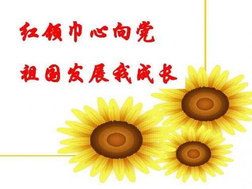 红领巾心向党