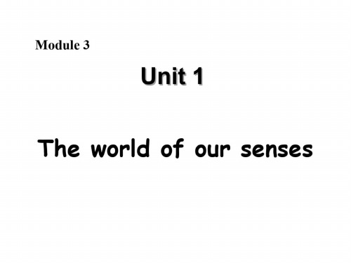 高二英语the-world-of-our-sense课件6