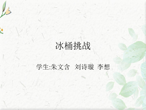 冰桶ppt下载