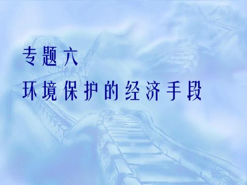 区域可持续发展研究专题六环境保护的经济手段