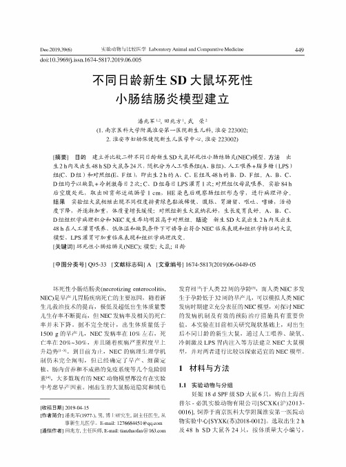 不同日龄新生sd大鼠坏死性小肠结肠炎模型建立