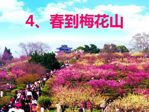 春到梅花山0319PPT课件