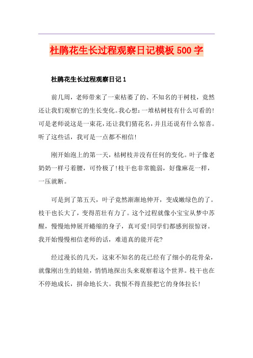 杜鹃花生长过程观察日记模板500字