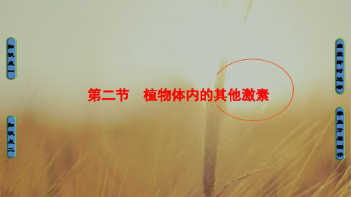 2018学年高中生物中图版必修三课件：第1单元-第1章-第2节