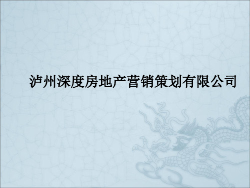 深度营销简介确定版