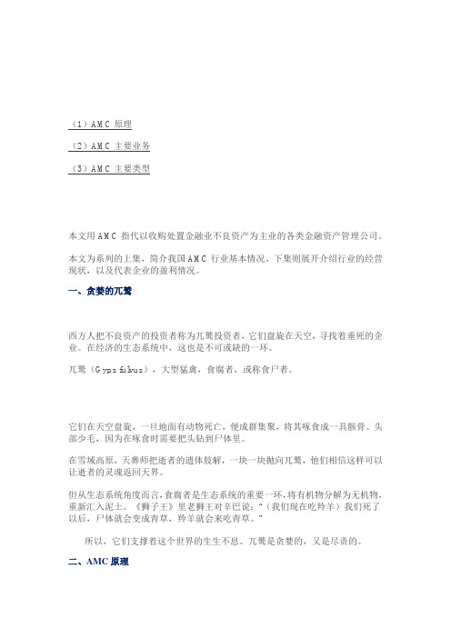 起底中国四大类AMC解读