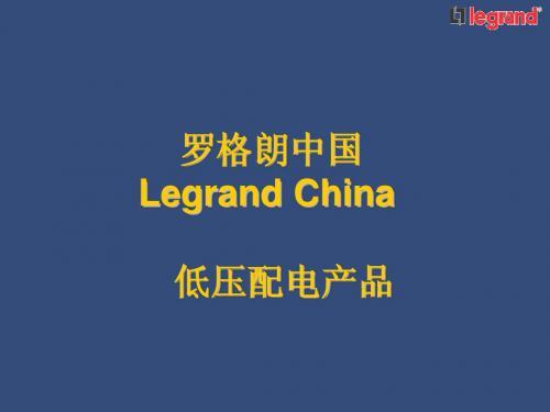 Legrand China-2008配电