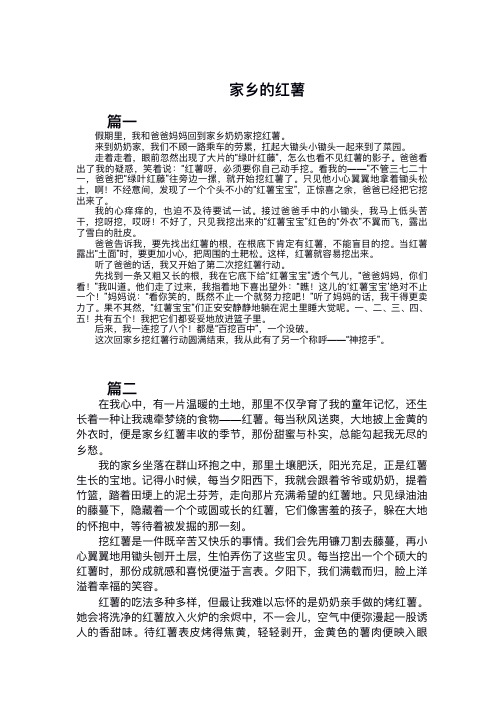 家乡的红薯作文500字