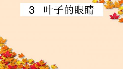 新版一年级下册《3、叶子的眼睛》课件-17页文档资料