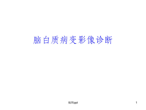 脑白质病变影像诊断
