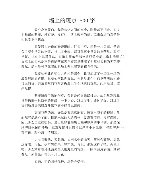 墙上的斑点_800字