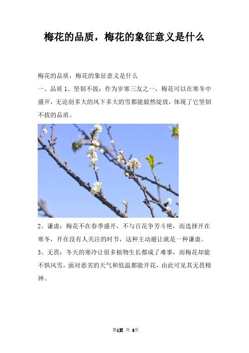 梅花的品质，梅花的象征意义是什么