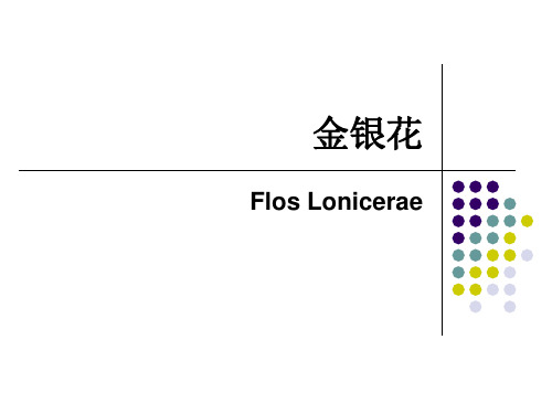 金银花
